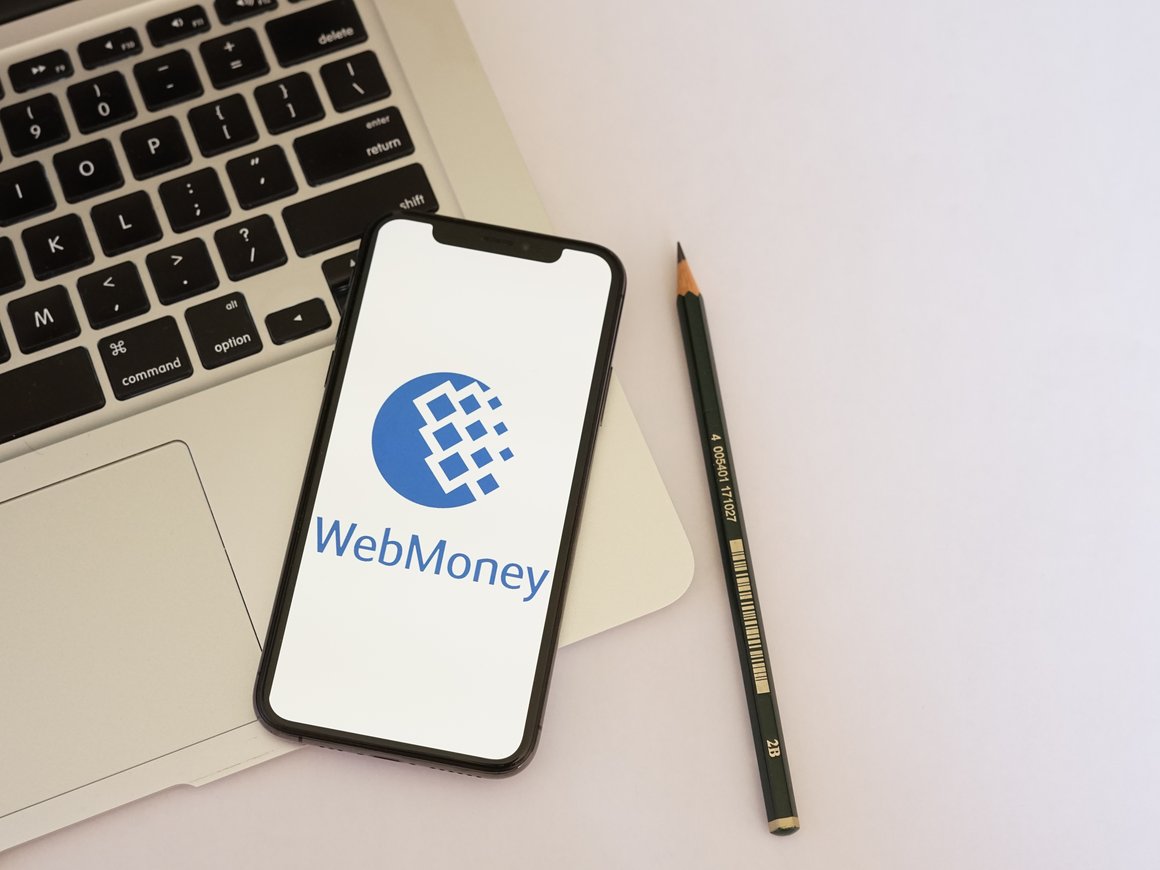 Гаранта системы WebMoney подозревают в выводе в офшор 2,3 млрд рублей — IZ