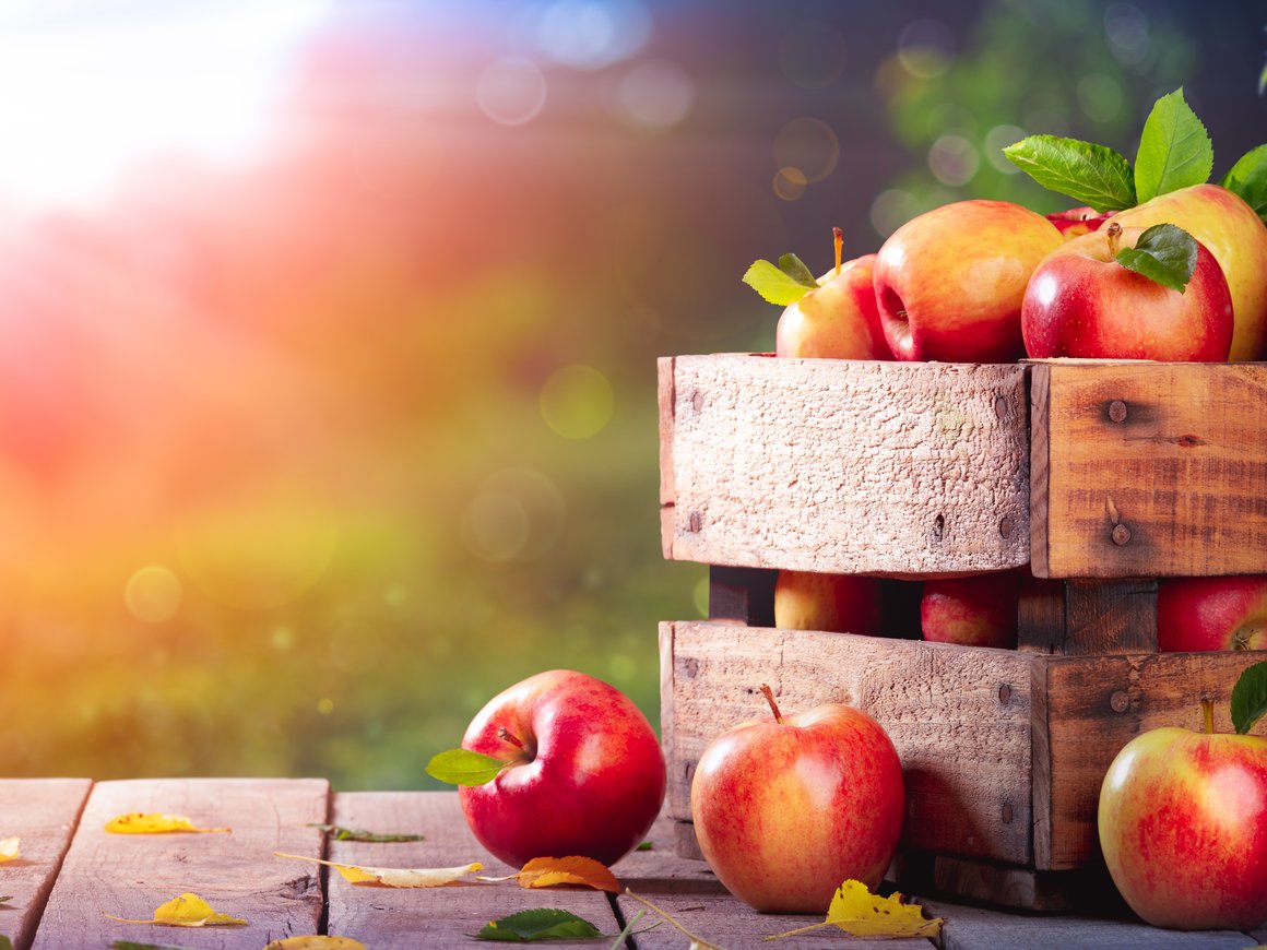 Новиков и Высоцкая поддержали отечественных производителей в ролике «Россельхозбанка»