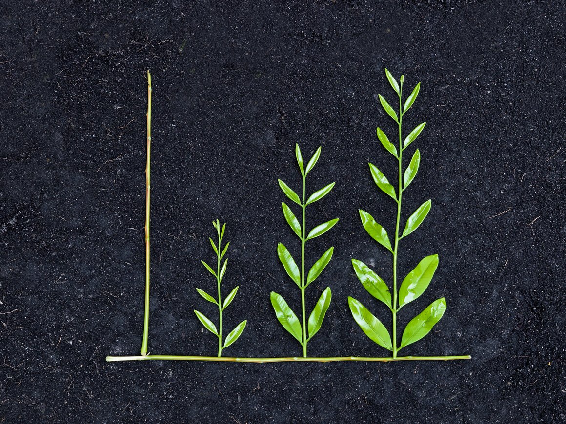 В Москве состоится закрытая конференция «Лиги зеленых брендов»