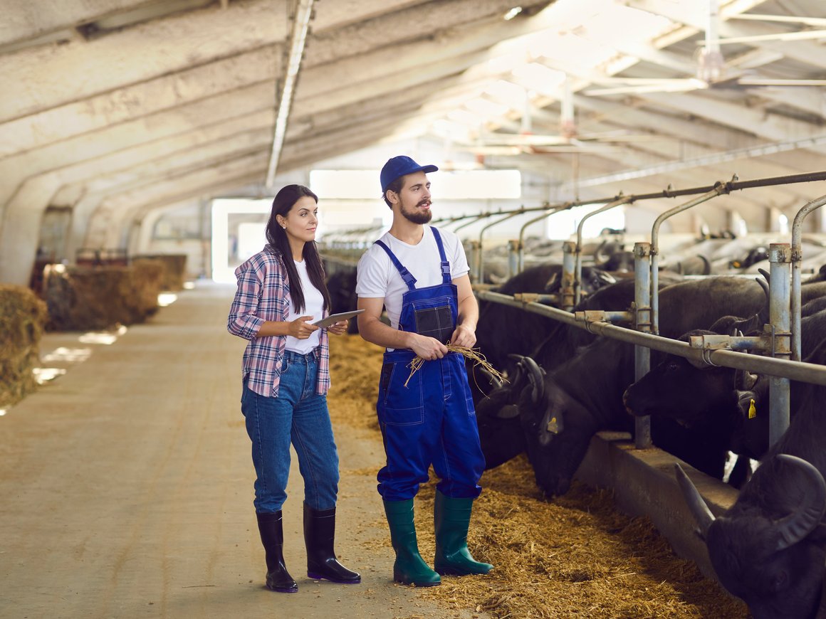 Четыре проблемы, которые сейчас стоят перед рынком AgroTech