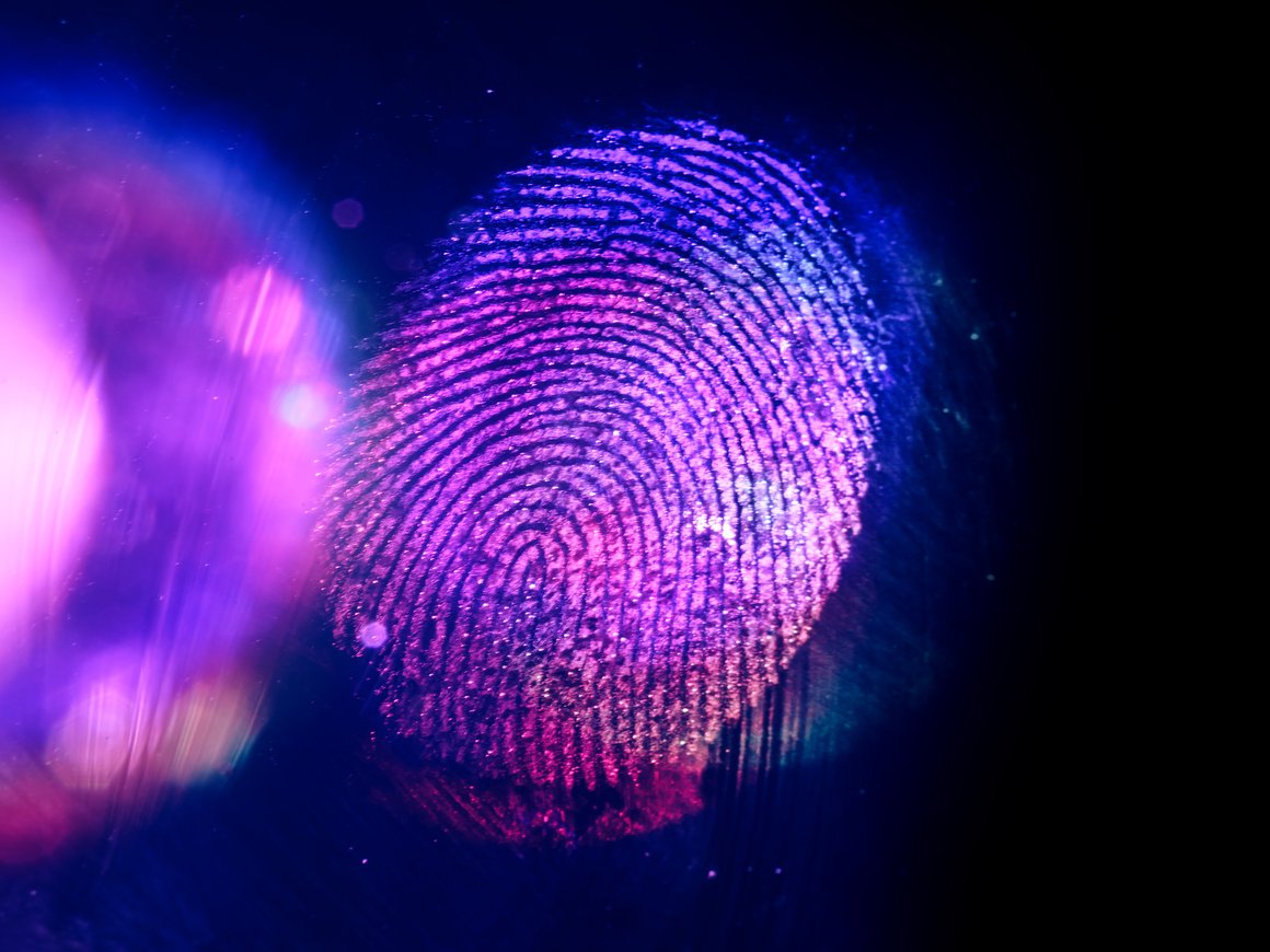 «Яндекс ID» добавил авторизацию по биометрическим данным