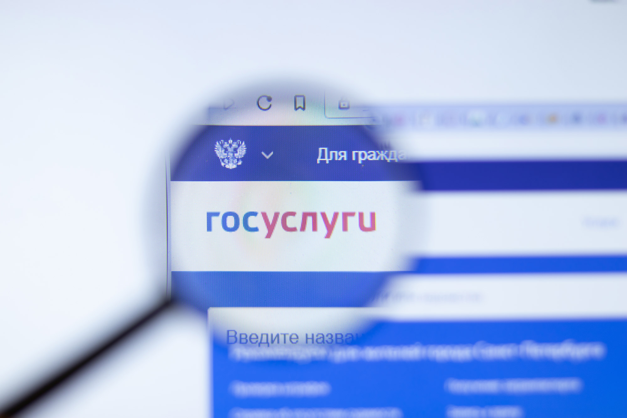 «Множество нюансов»: как регистрация на «Госуслугах» скажется на селлерах