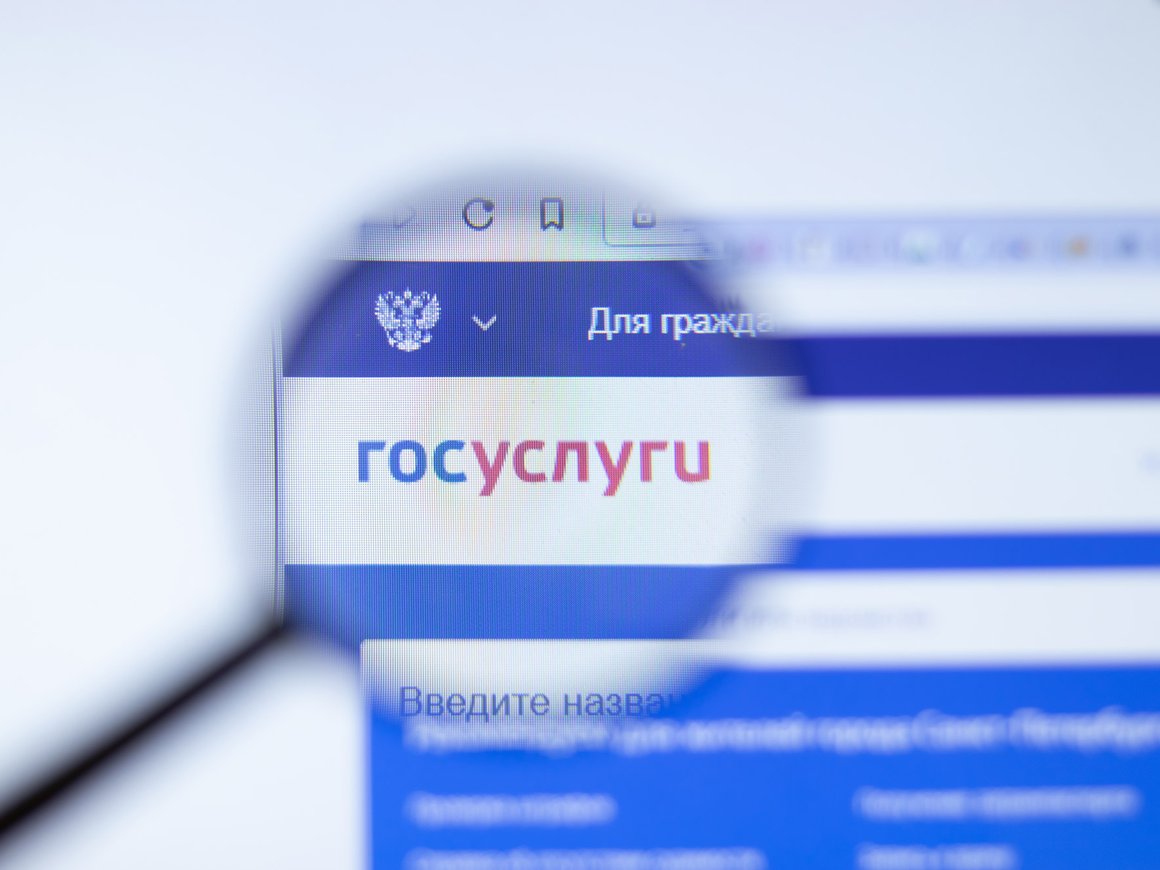 «Множество нюансов»: как регистрация на «Госуслугах» скажется на селлерах