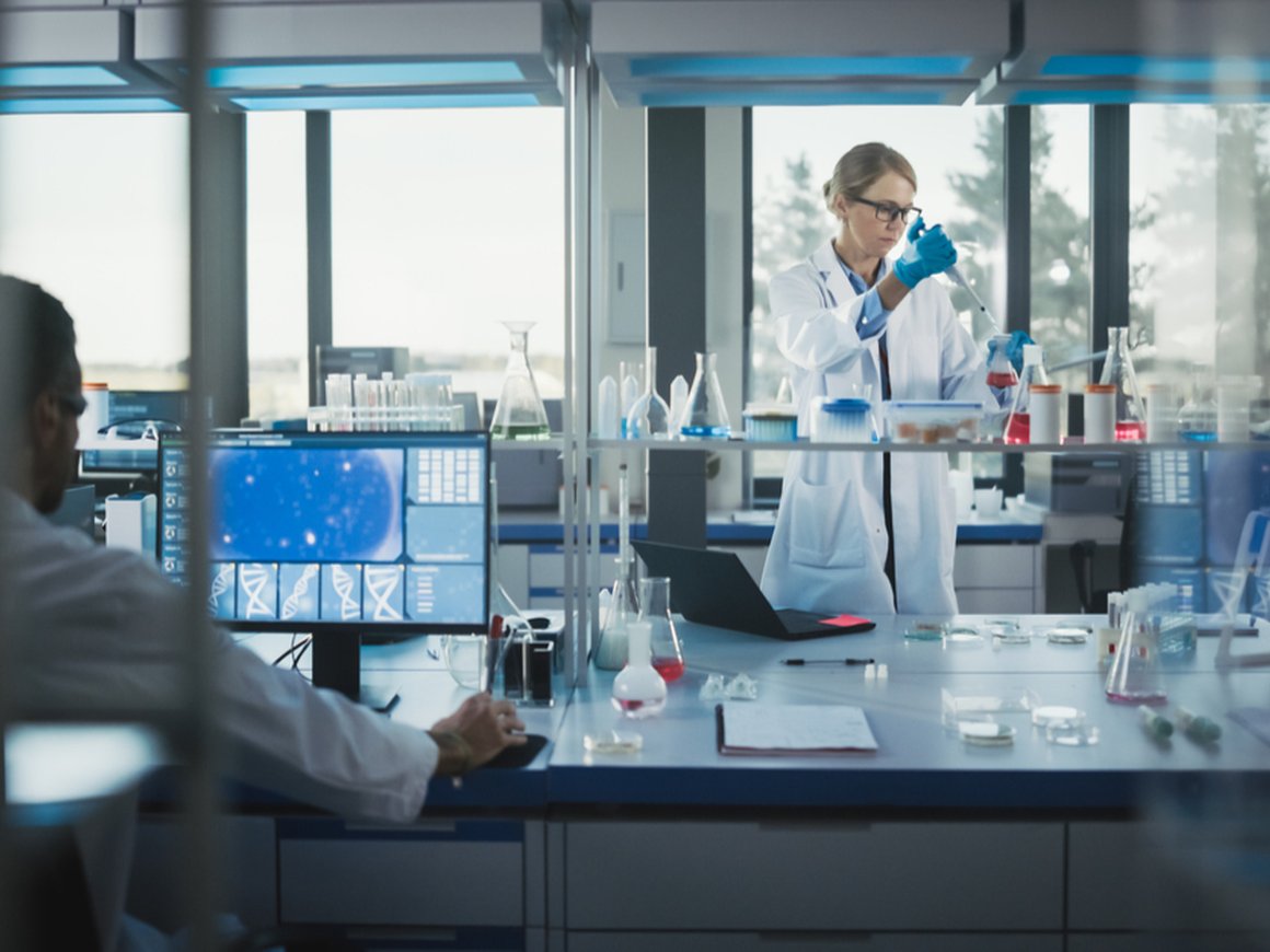 Longevica с российскими корнями привлекла $2,5 млн на развитие платформы в области долголетия