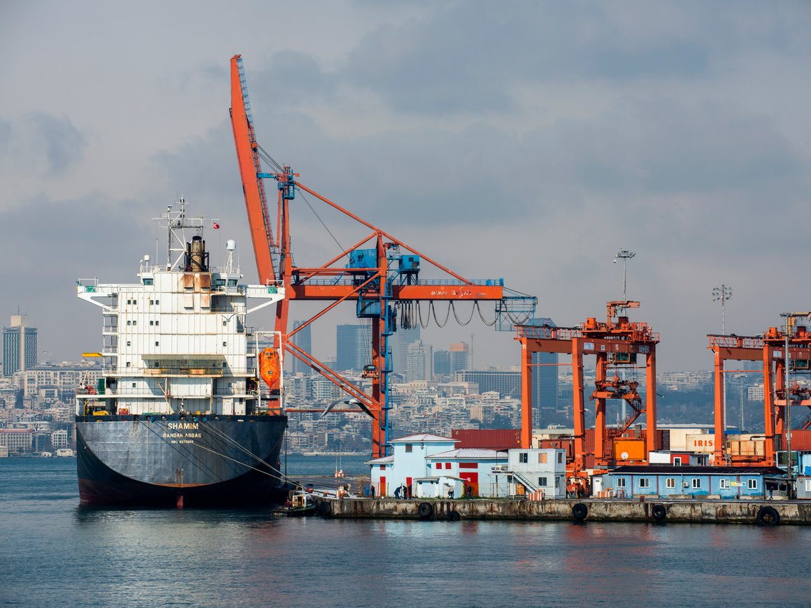 Выдача ВНЖ в Стамбуле, сделка Pfizer и Seagen, первый Cybertruck: главное 16 июля