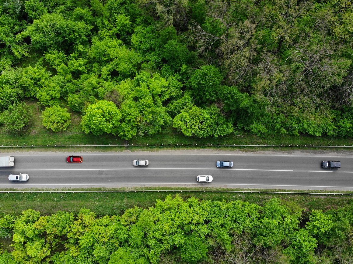 Информационная инфраструктура вносит больший вклад в экономику, чем физическая — Всемирный банк