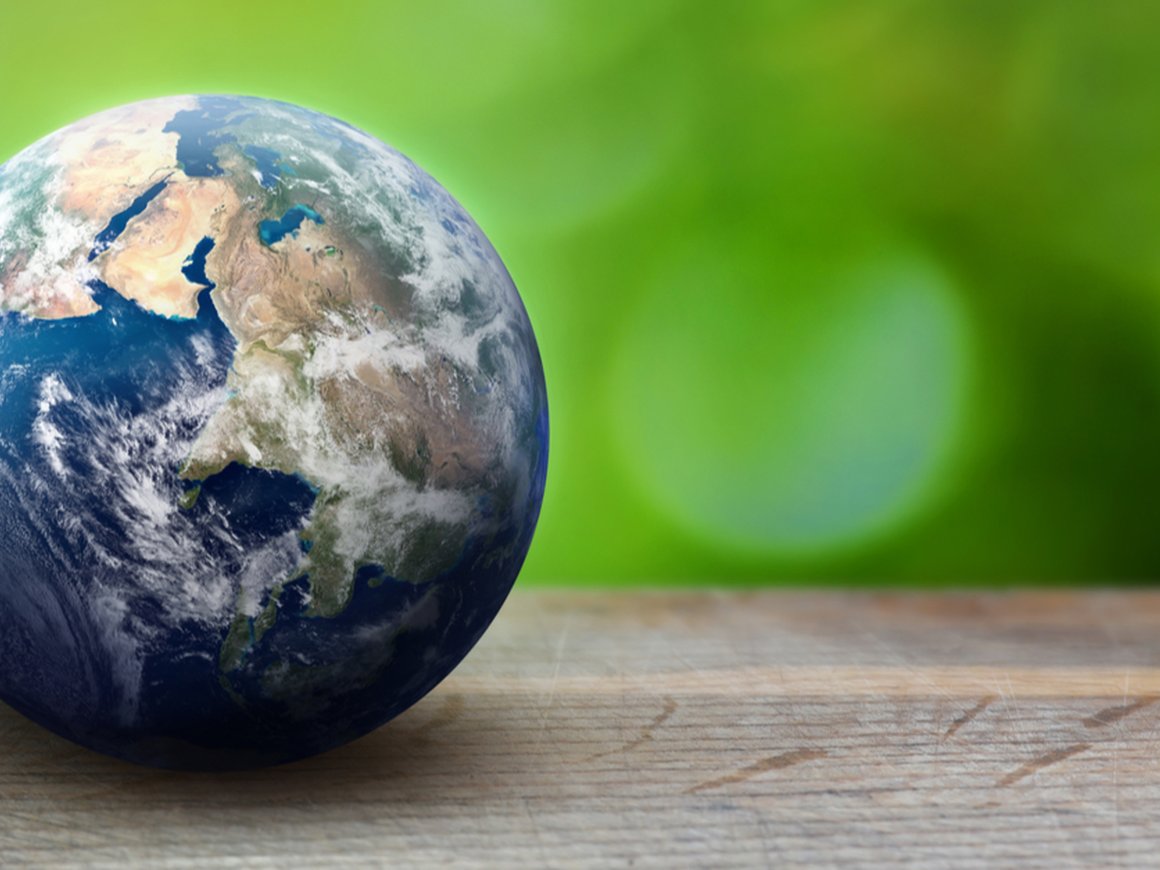 В России создали фонд «Компас» — национальный аналог Greenpeace