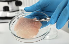 MeaTech 3D подала патент на печать культивированного мяса