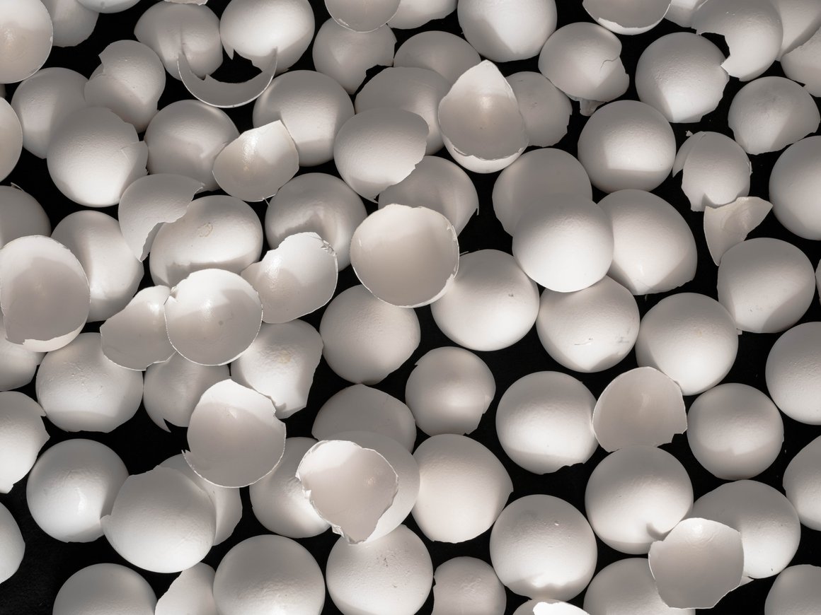 Пивоваренная компания AB InBev и стартап Clara Foods будут производить растительные белки