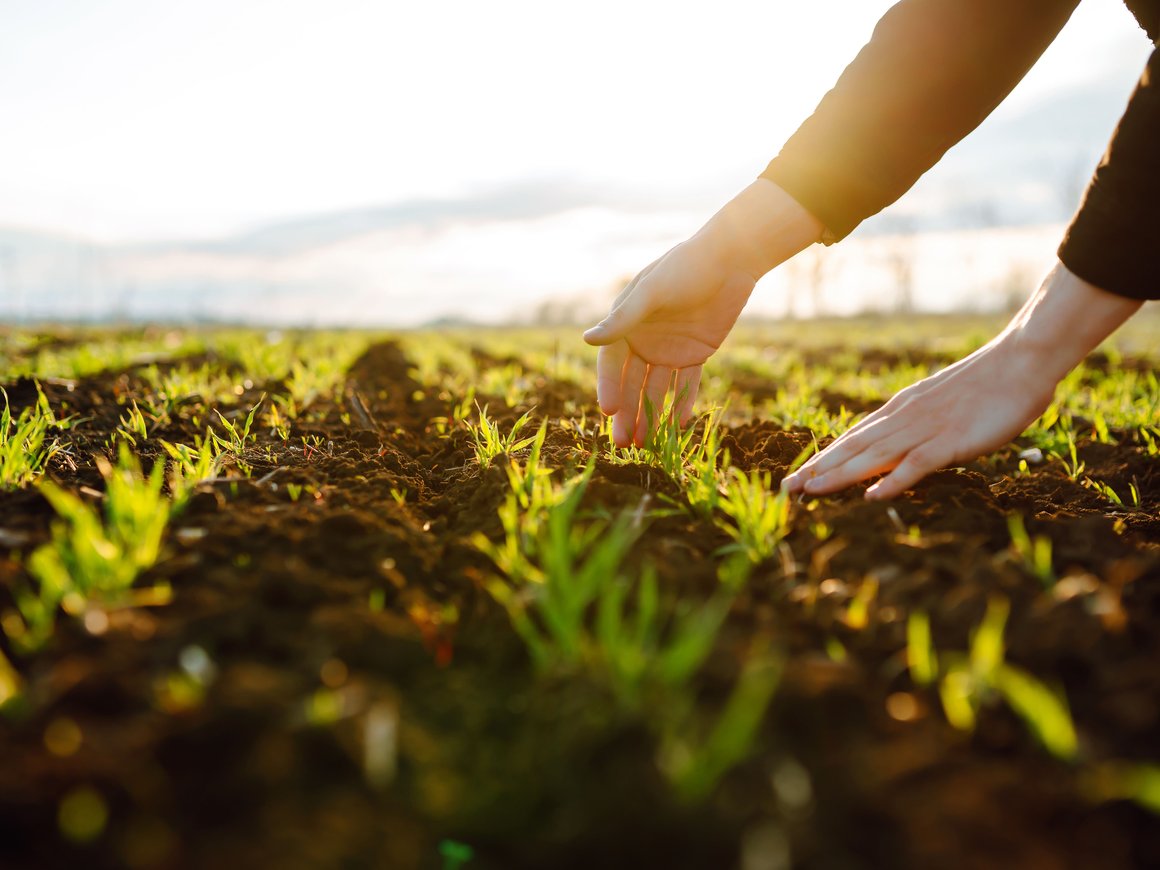Идет прием заявок от AgroTech-стартапов на питч-сессию в рамках выставки «Агросалон 2022»