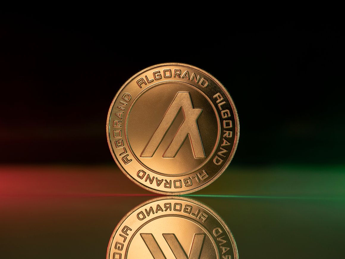 Блокчейн Algorand: малоизвестный игрок, за которым стоит следить