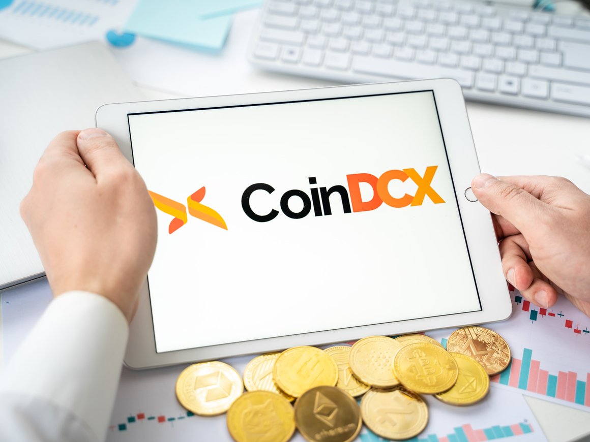 История CoinDCX: как два технаря создали первую в Индии криптокомпанию-единорога