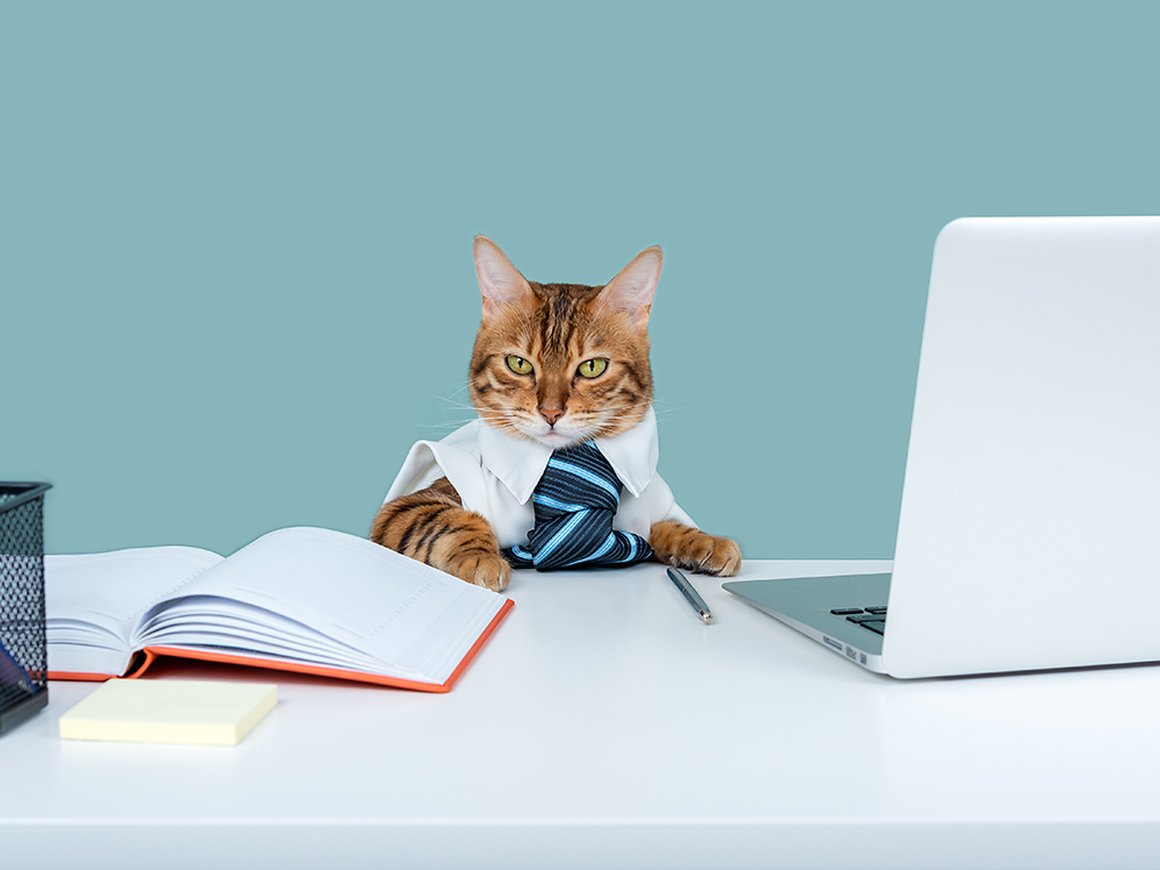 Скучный и предсказуемый: 8 качеств эффективного руководителя