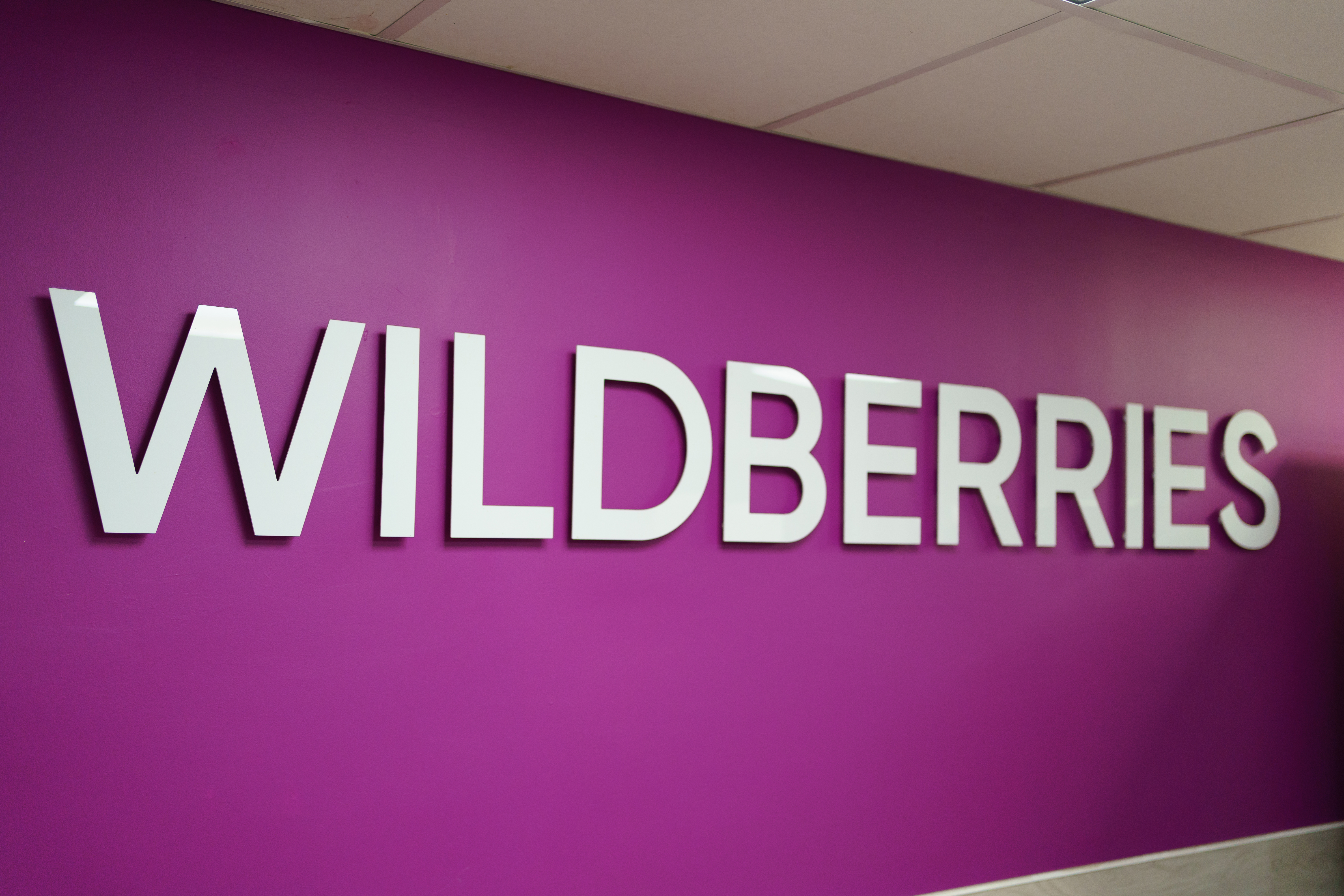 Wildberries построит логистический центр с инвестициями в 11,2 млрд рублей