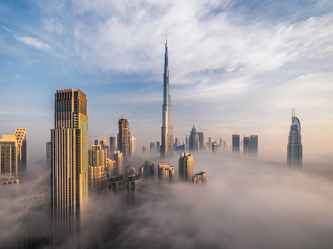 Топ-5 стартапов Ближнего Востока из сферы AgroTech