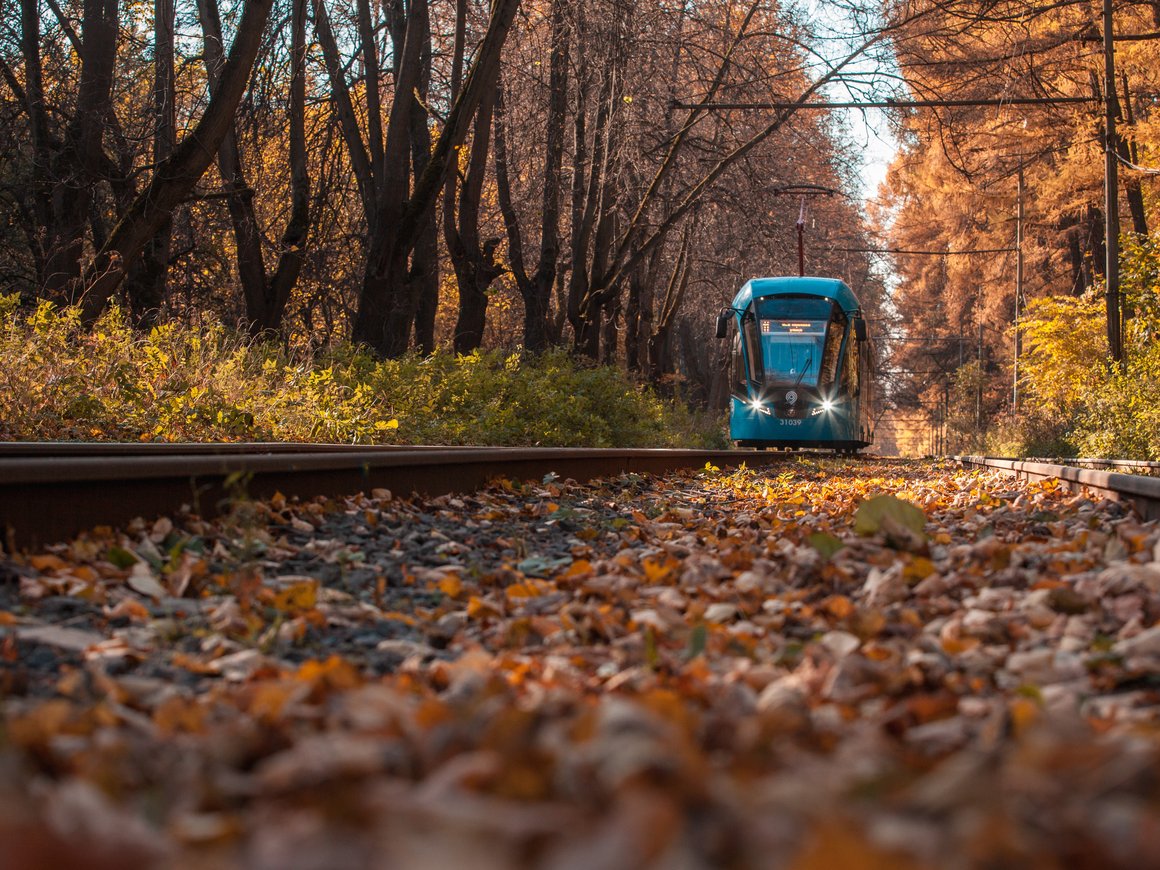 Первый беспилотный трамвай могут запустить в Москве уже в этом году