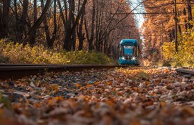 Первый беспилотный трамвай могут запустить в Москве уже в этом году