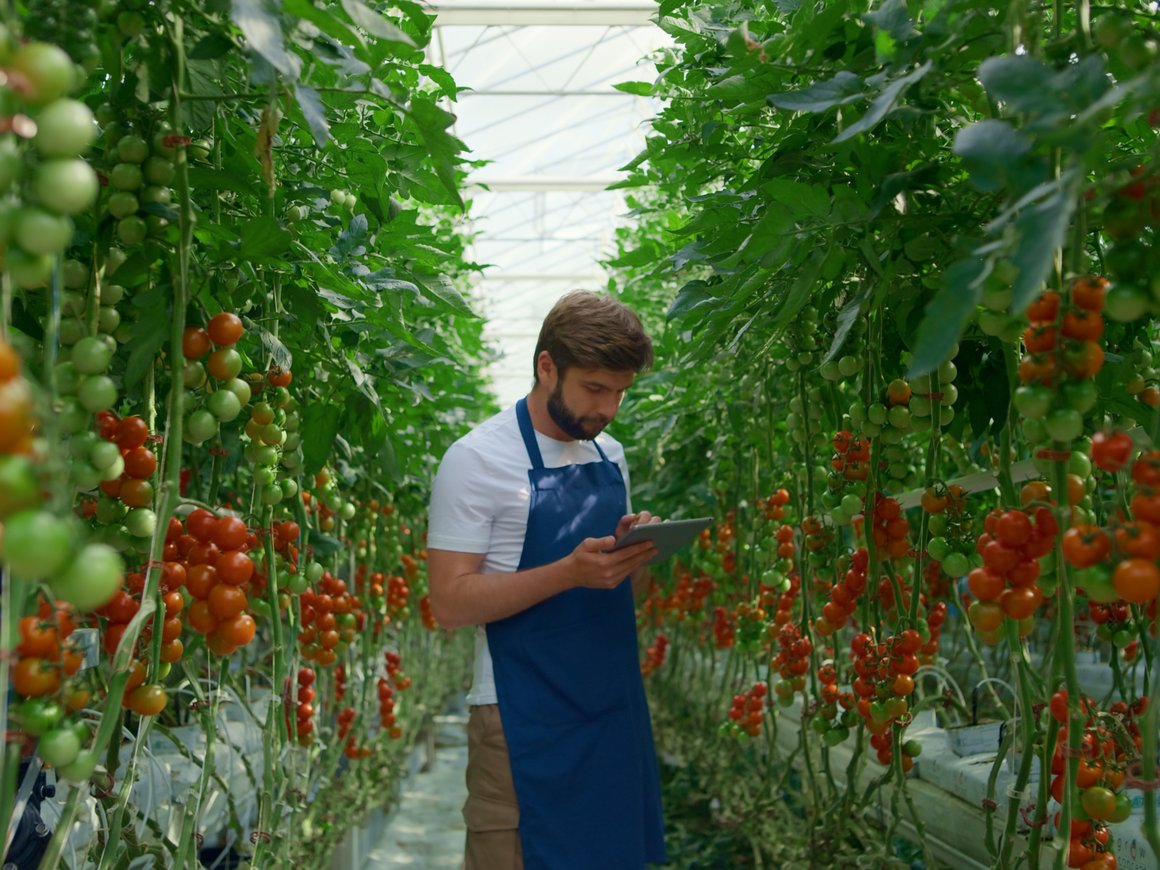 Открыт прием заявок в студенческий агротех-акселератор