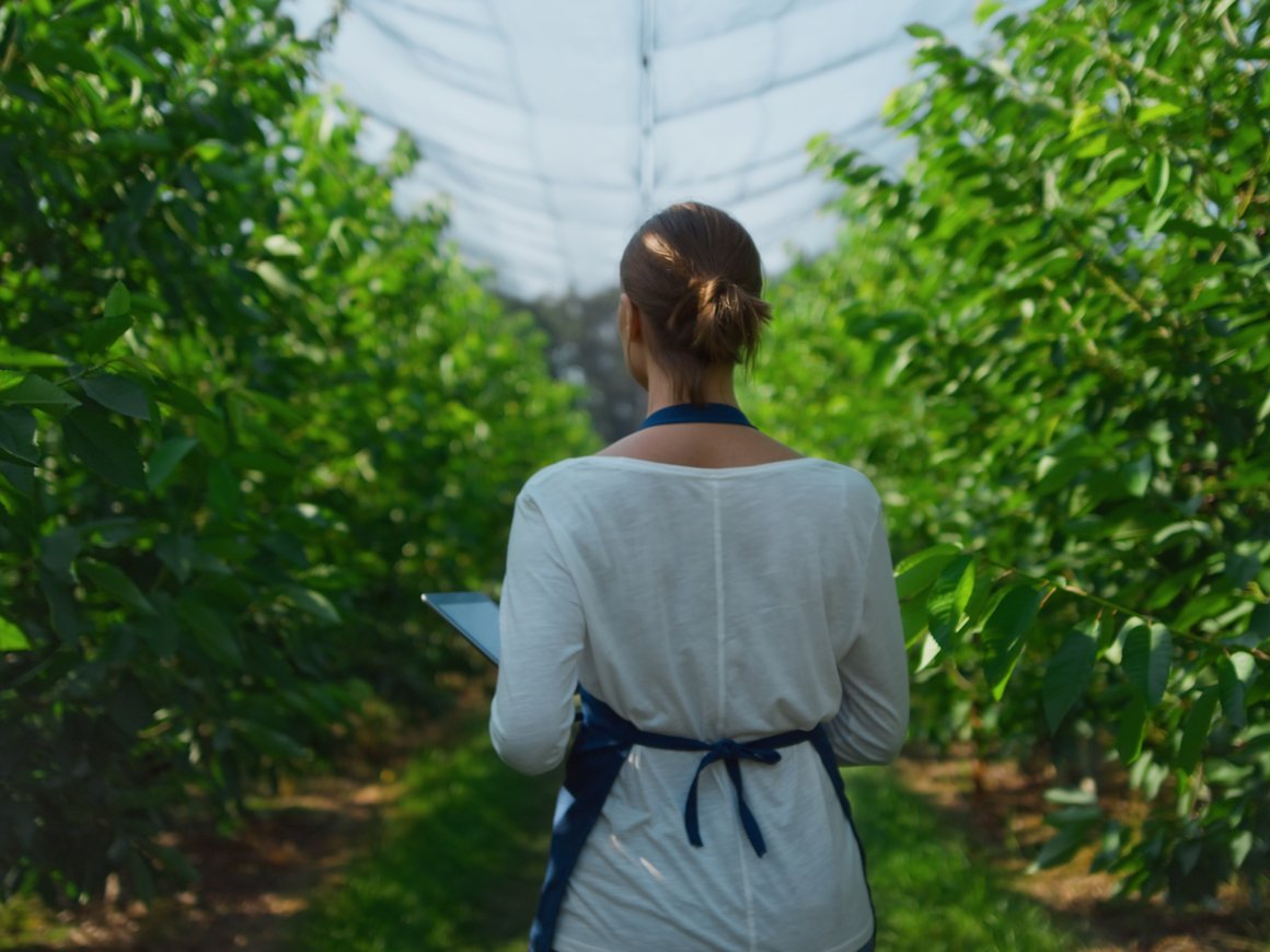 Идет прием заявок от AgroTech-стартапов в проект AgTechInventum