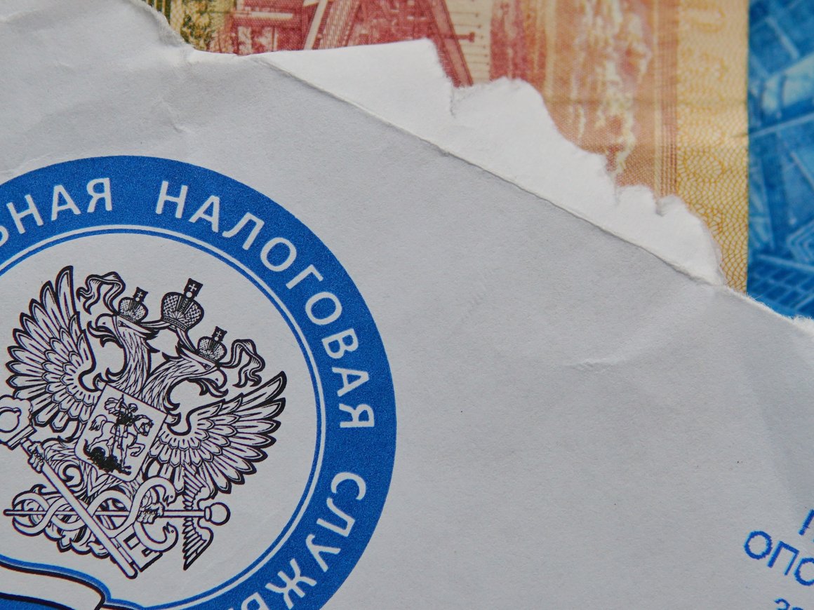 Открываем ООО бесплатно: 9 лучших сервисов для регистрации компании