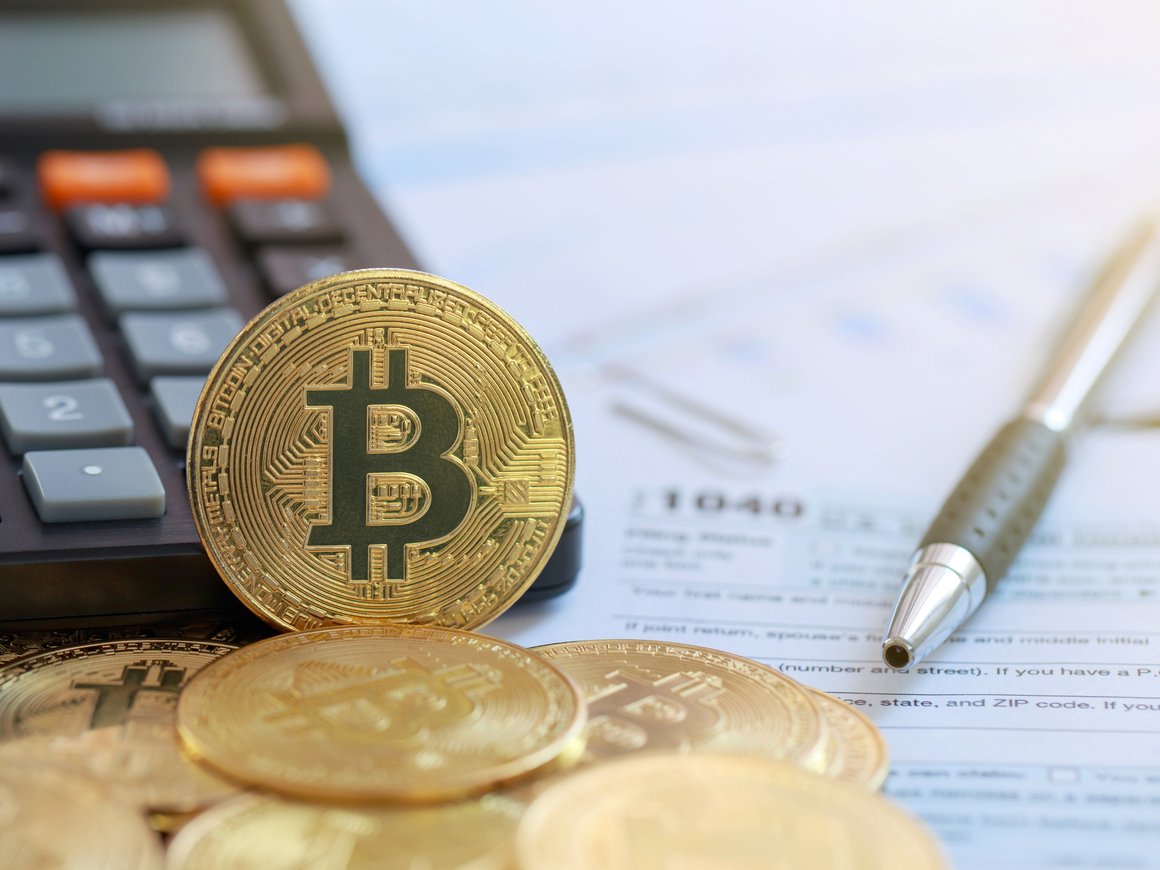 ФНС рассматривается на роль регулятора криптовалют в России