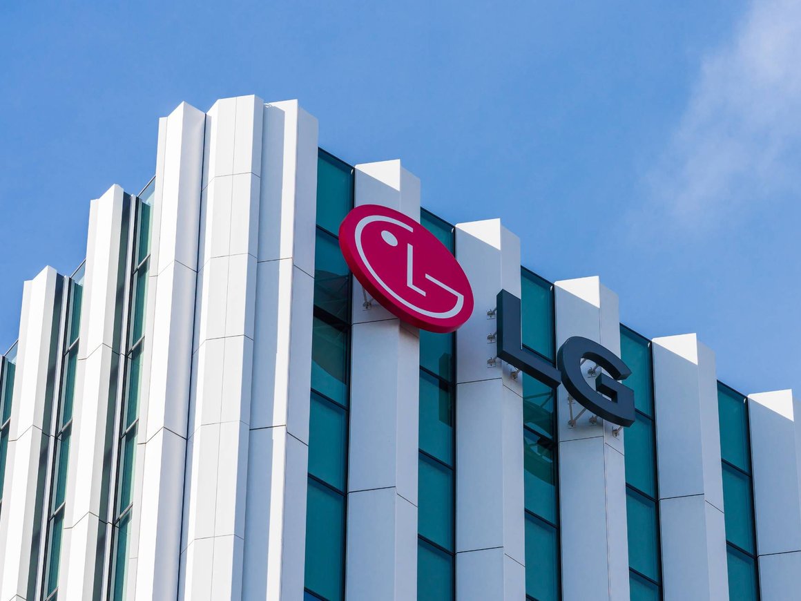 Выручка российской «дочки» южнокорейской LG выросла на 12% в 2024 году