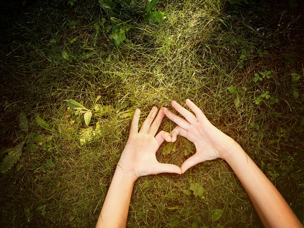 Названы лучшие социальные проекты по версии SAP Up