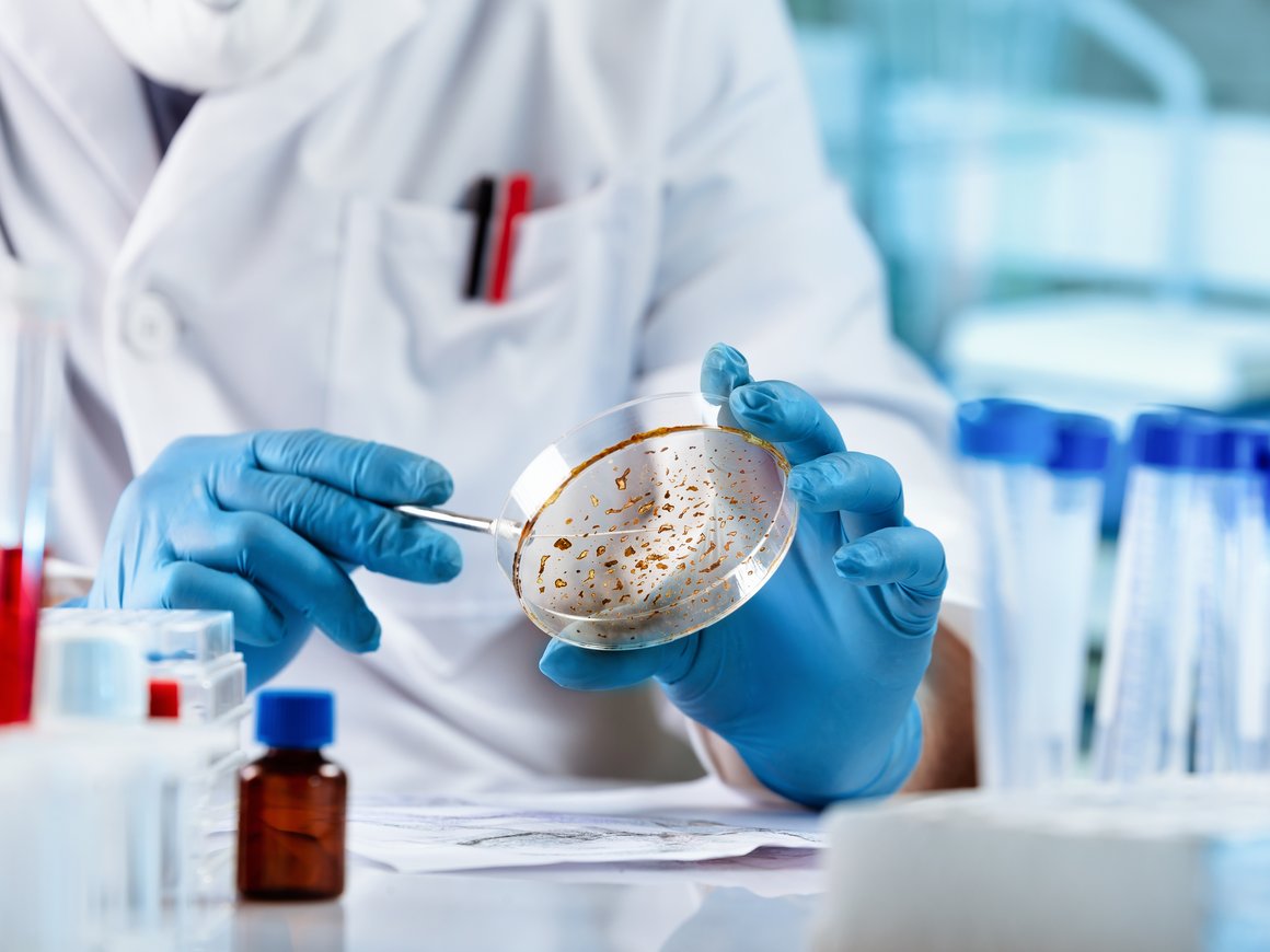 «Эфко» планирует вложить до 9,4 млрд рублей в завод по производству кормовых ферментов