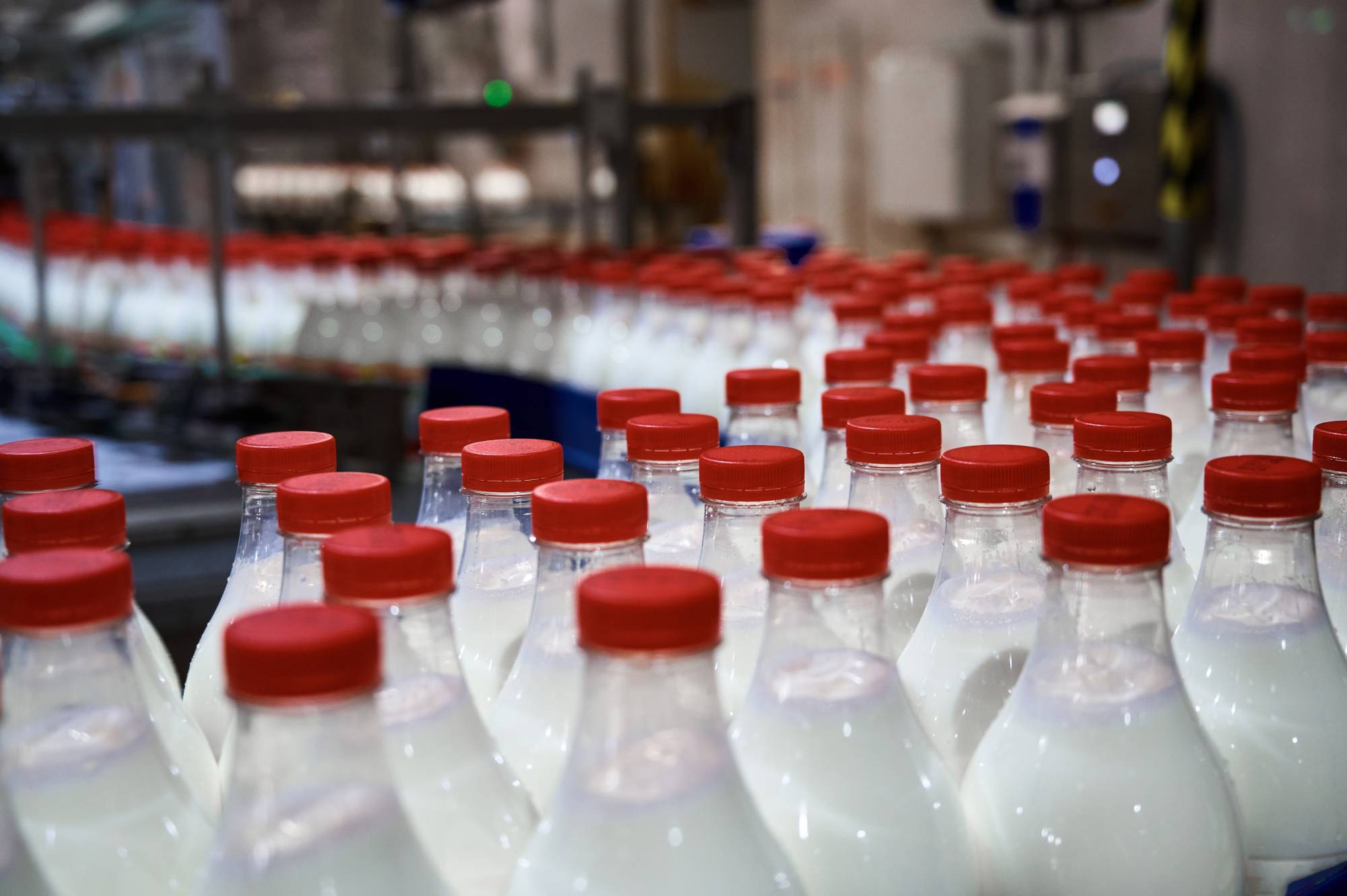 У 14 производителей молочной продукции нашли фальсификат