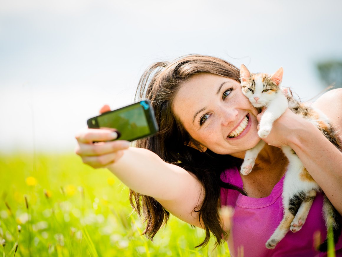 Клонирование питомцев — погоня за славой или способ пережить утрату?