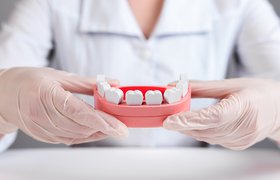 В Японии протестируют препарат для выращивания зубов