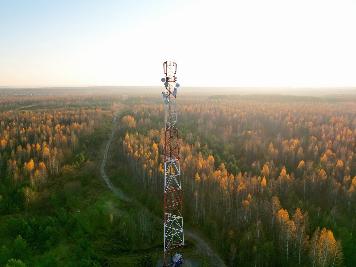 Жителей деревень без интернета призвали на «Госуслугах» проголосовать за проведение к ним интернета