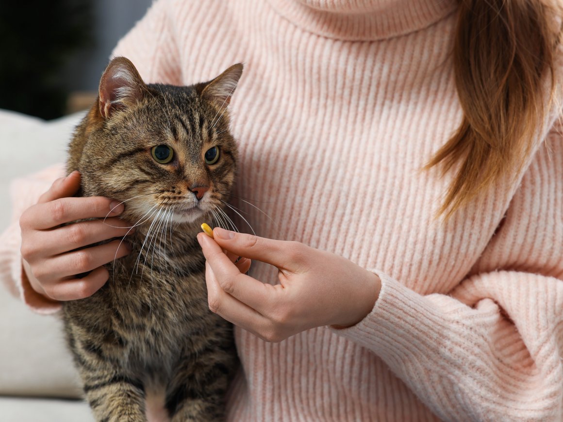 Производитель ветеринарных препаратов Vetstem привлек 24 млн рублей от Moscow Seed Fund