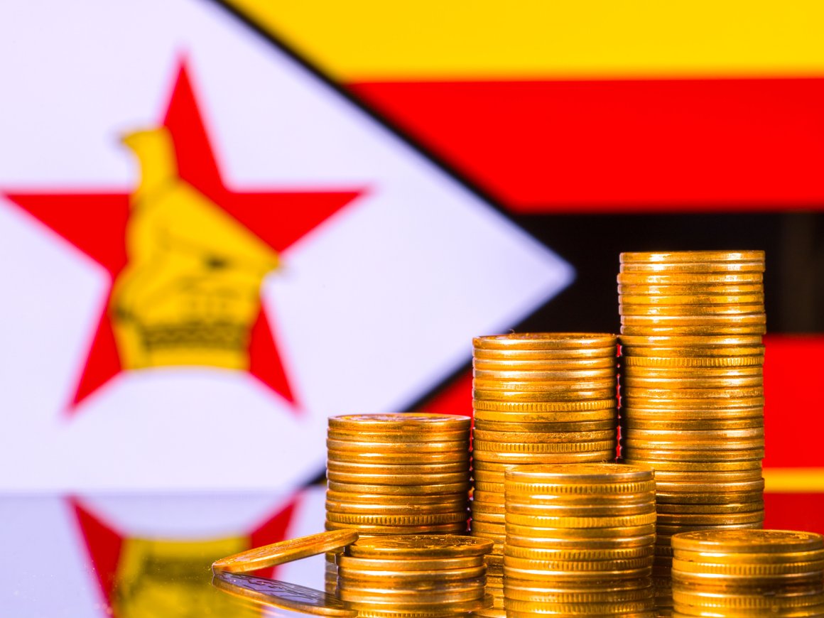 В Зимбабве введут в обращение цифровую валюту, обеспеченную золотом