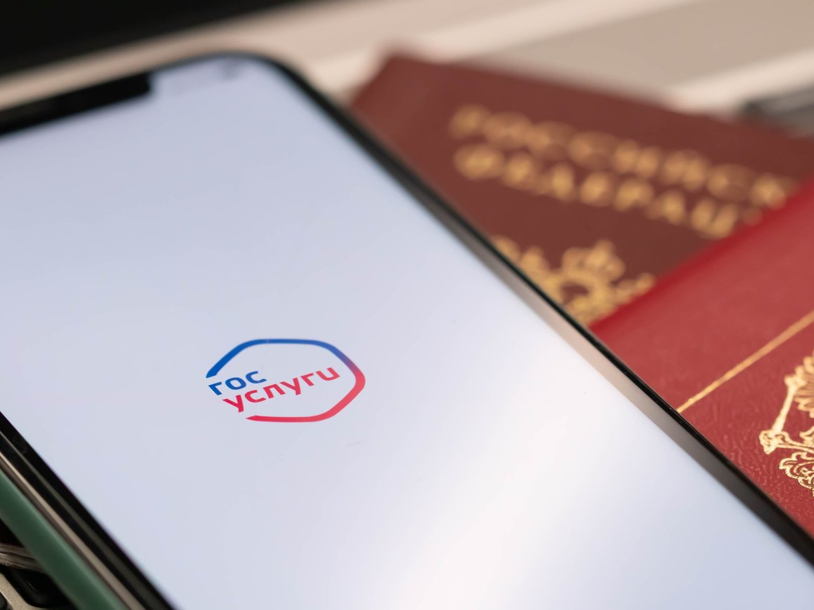 «Ростелеком» может заняться разработкой аналога «Госуслуг» для других стран