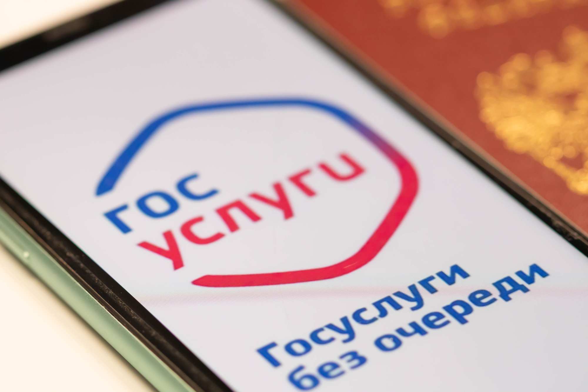 Минцифры поддержало создание тревожной кнопки на «Госуслугах»