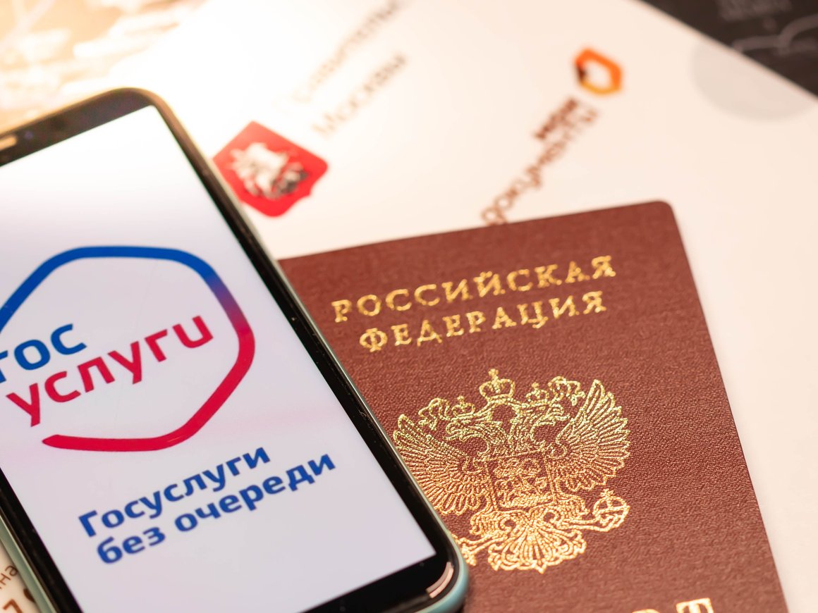 На «Госуслугах» появится упрощенная биометрия