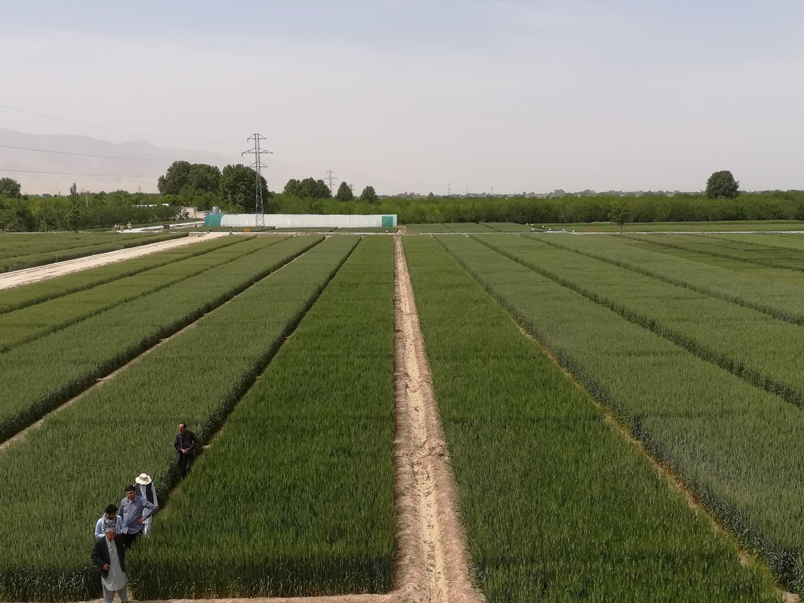 Россия планирует нарастить товарооборот с Афганистаном до $10 млрд к 2030 году