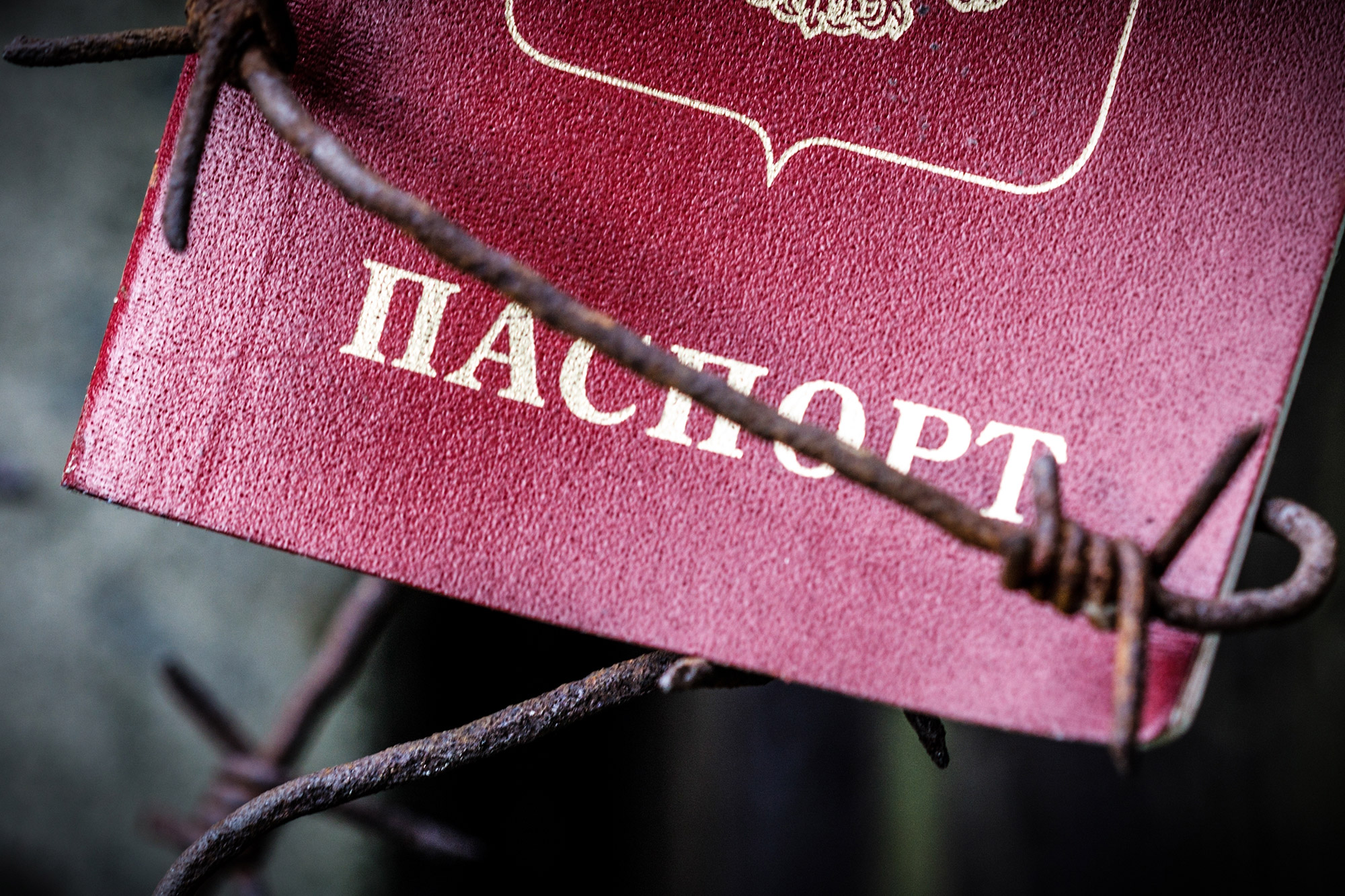 «Российский паспорт не так токсичен»: Виктор Кох рассказывает про инвестиции в условиях санкций и запретов
