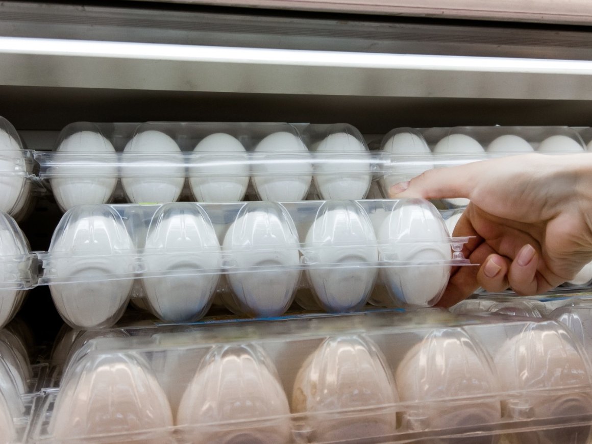 Челябинская птицефабрика взыскивает 147 млн рублей с производителя роботов для яиц из «Сколково»