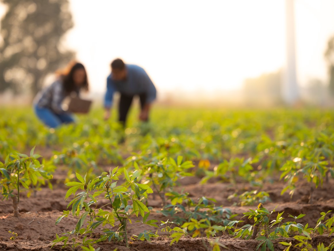 На AgroCode Conf обсудят, что ждет AgroTech в 2024 году