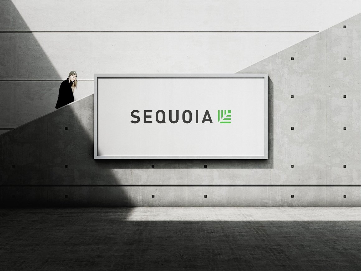 Бурный год Sequoia Capital вызывает вопросы у инвесторов