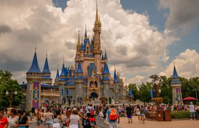Парки Disney World стали популярным местом для удаленной работы
