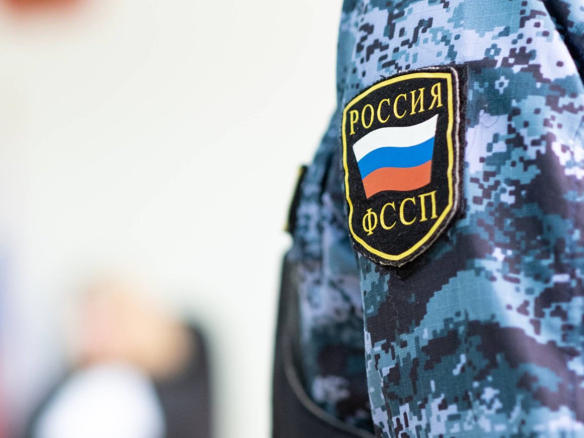 ФССП начала «самую жесткую» за последние годы проверку коллекторов — РБК