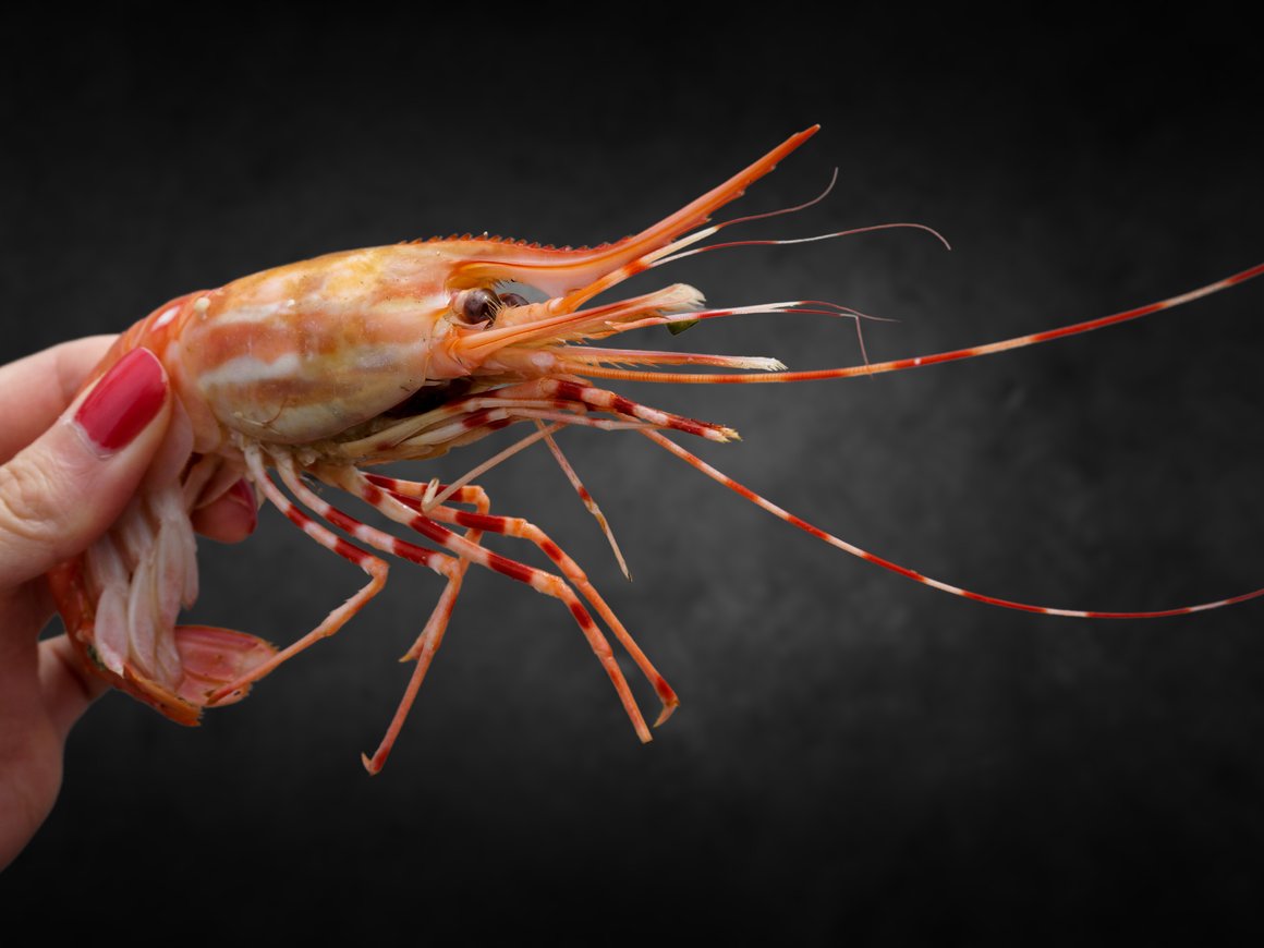 Крупнейший поставщик северной креветки Royal Greenland продал российский бизнес