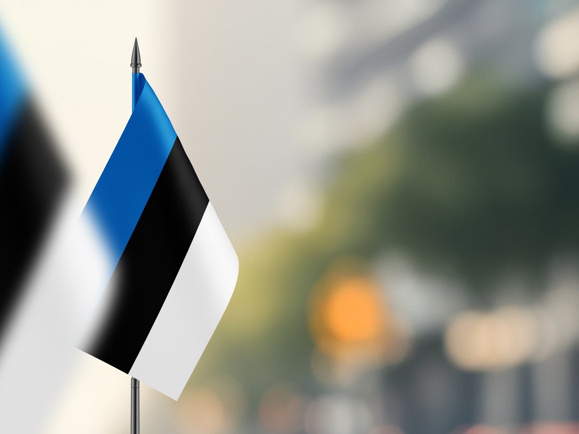 Эстония ввела полный таможенный контроль на границе с Россией