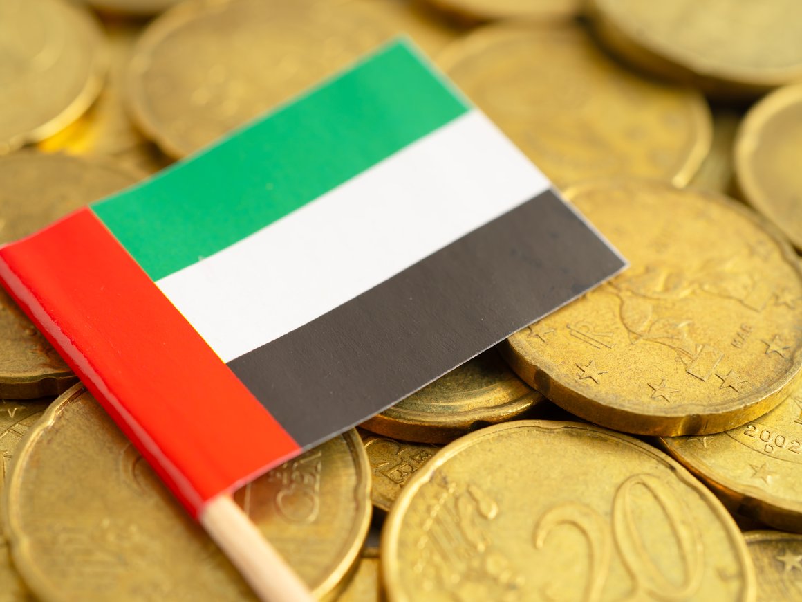 Банки ОАЭ стали блокировать российские платежи за электронику из Китая