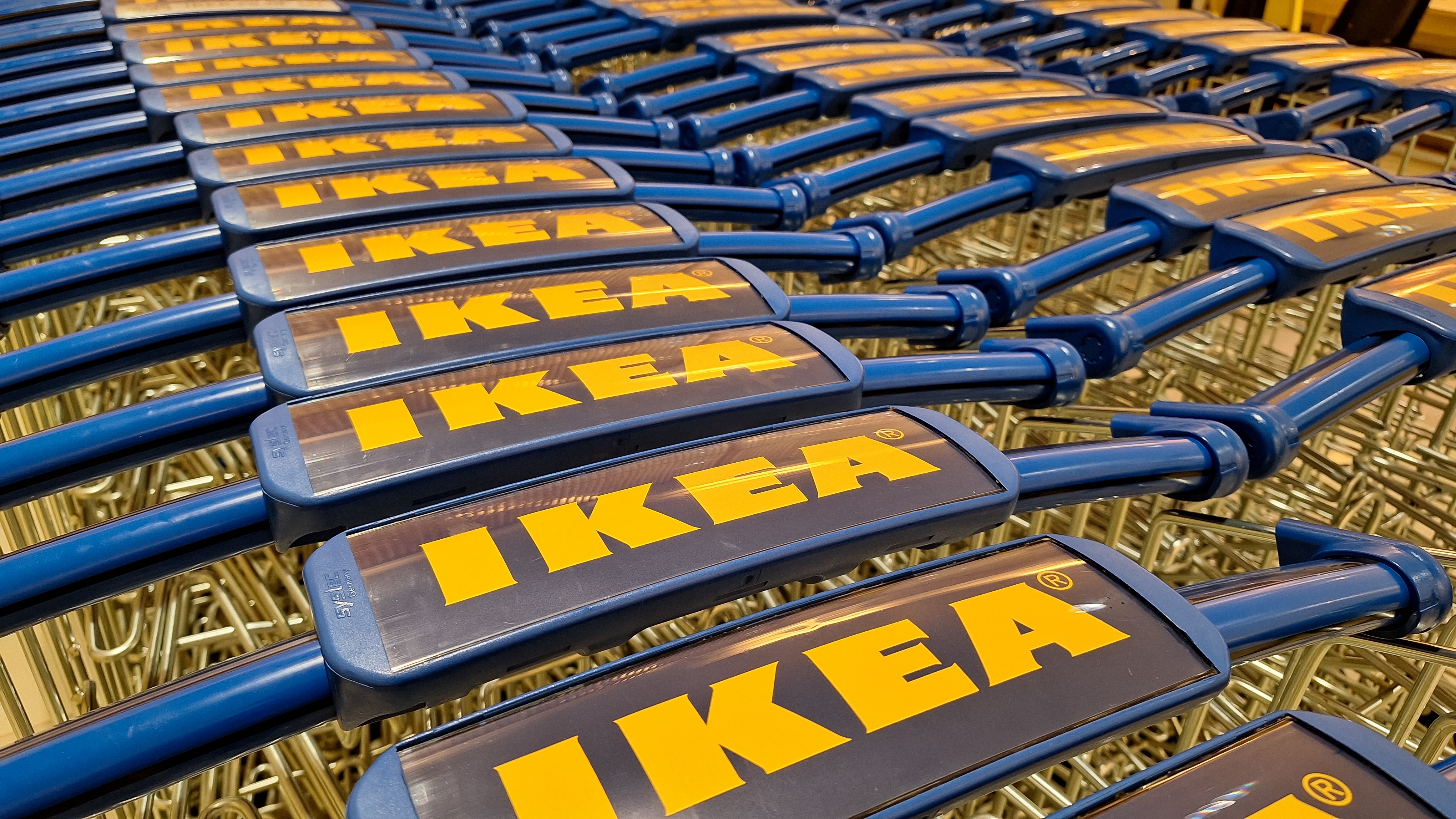В 2024 году выручка владельца бывших заводов IKEA выросла на 21,3%