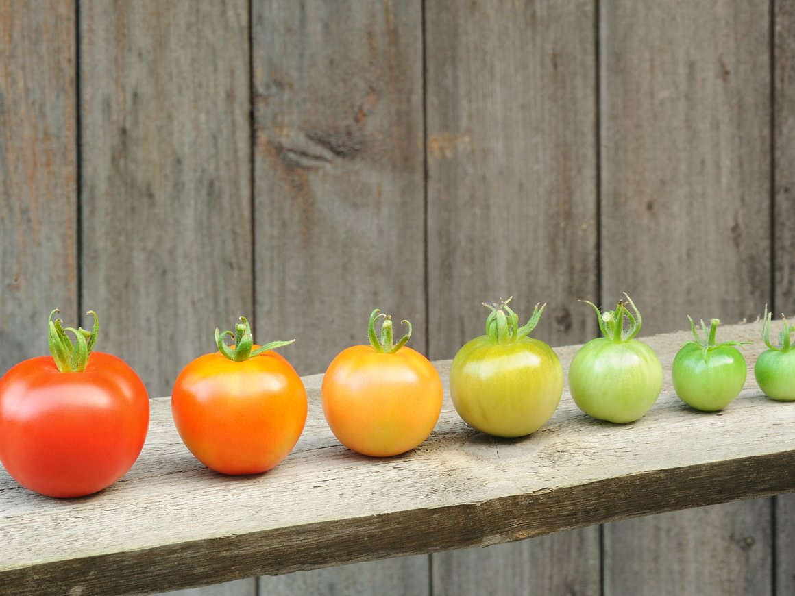 Новый или зрелый: как стартапам выходить на рынки разных стадий развития