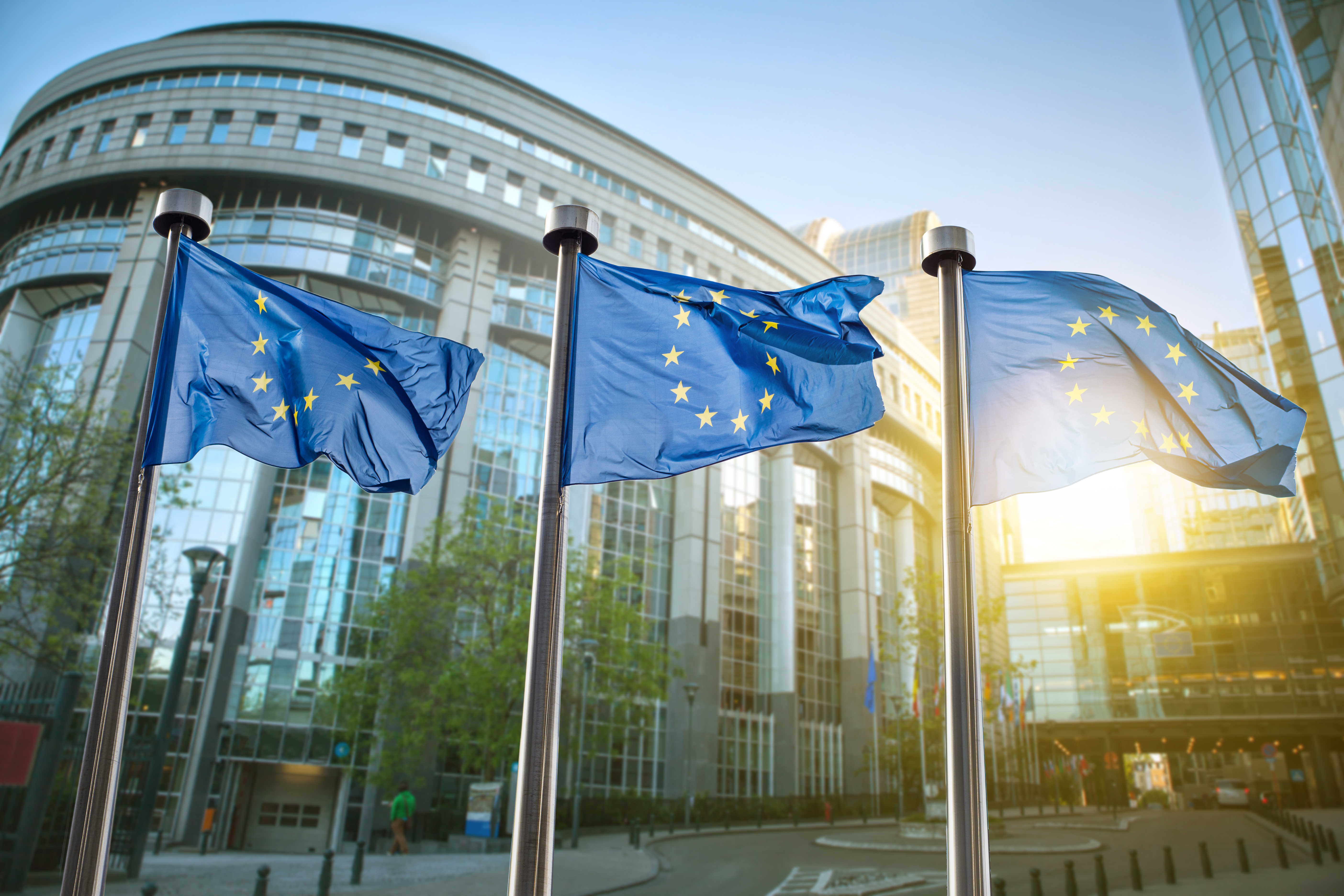 Международный европейский центр. Европейский суд (Европейский Союз). ЕС (Европейский Союз) Европейский парламент. Флаг ЕСПЧ.
